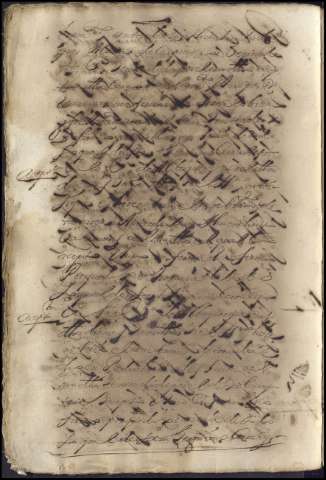 164