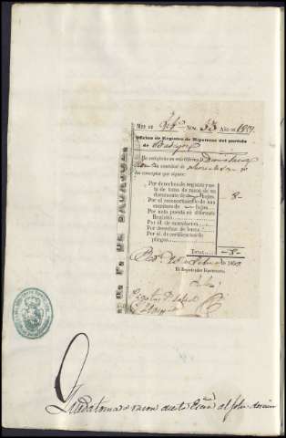 31