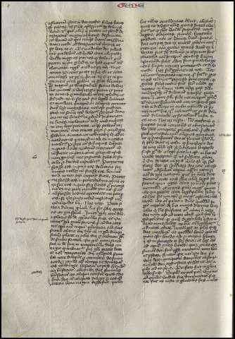 164