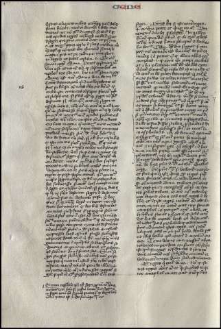 230