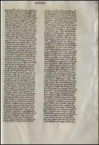 261