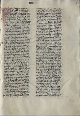293