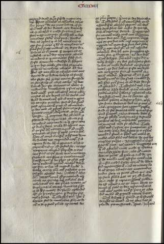 310