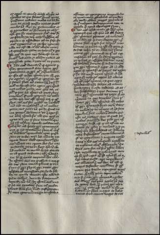91