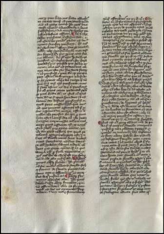164