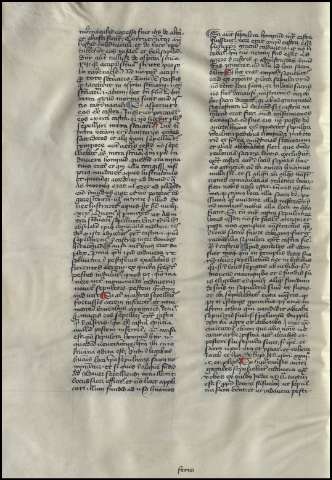 244