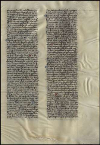 245