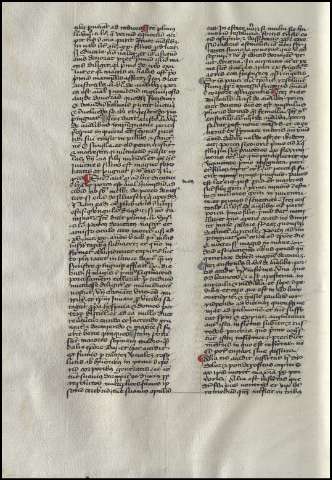 310
