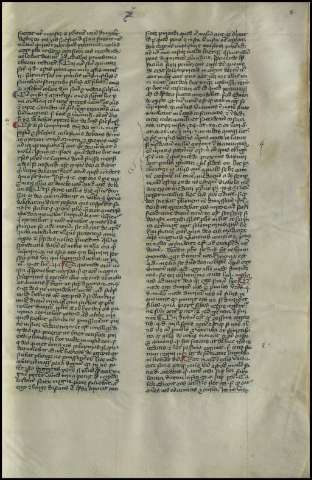 161