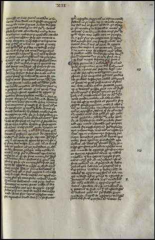 245