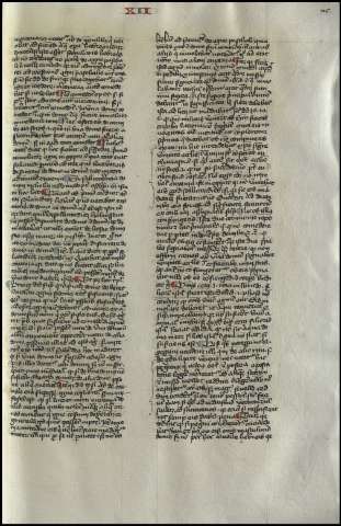 253