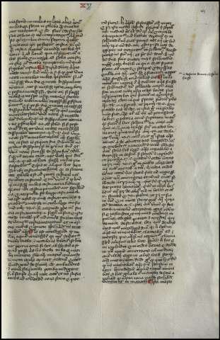 329