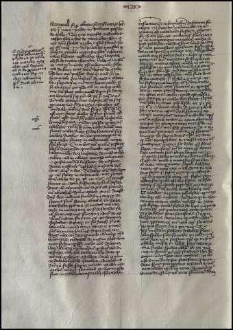 56