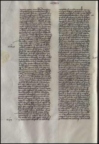80