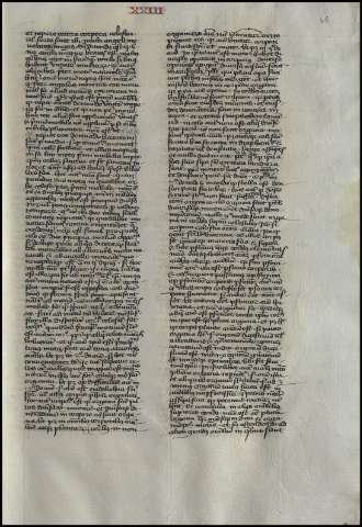 83