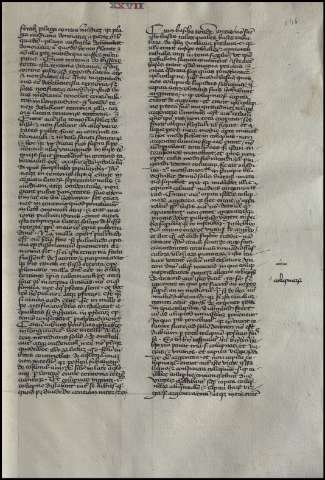 295