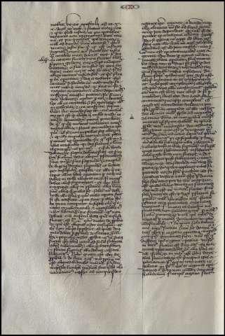 310