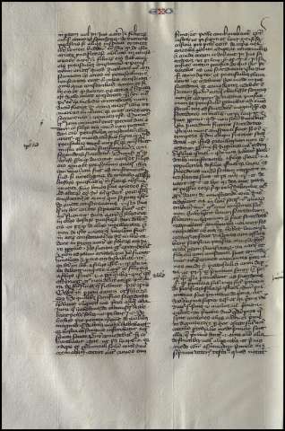 382