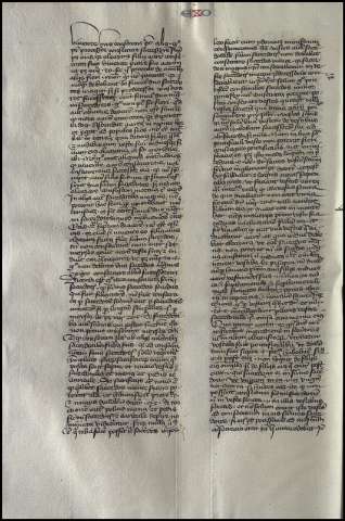 384