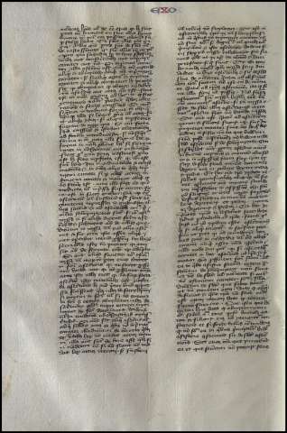 392