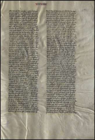 591