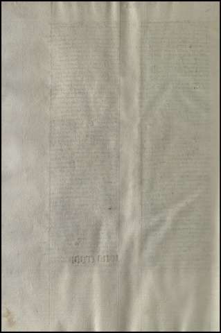 768