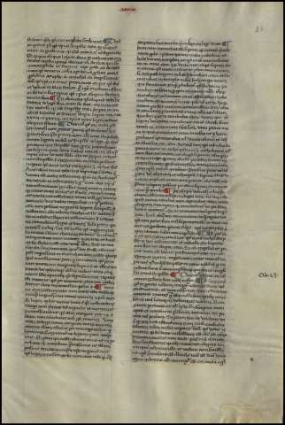 51