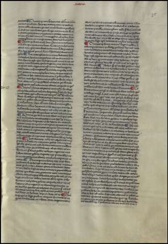53