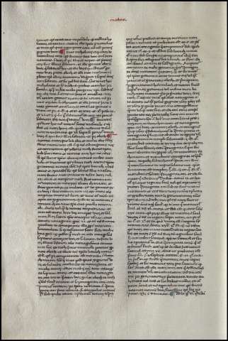 146