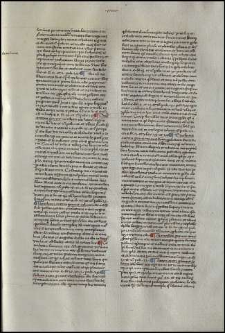 151