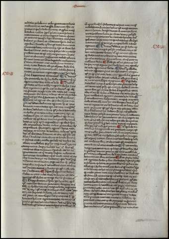 251