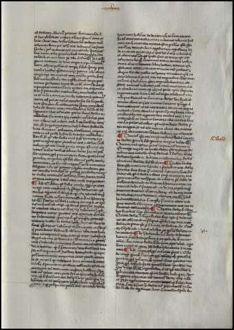 253