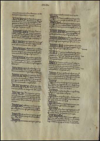 593