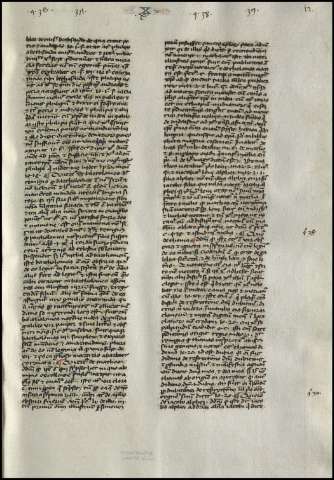 29