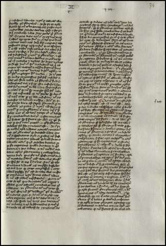 73