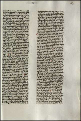 91