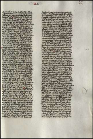 121