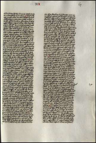 141