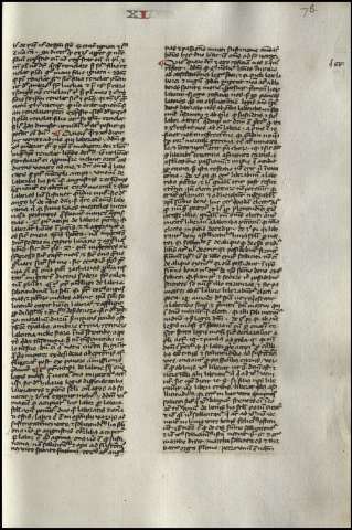 161