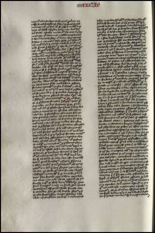 256