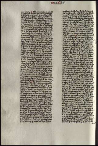 262