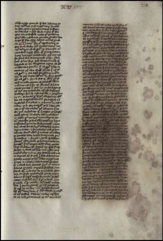 441