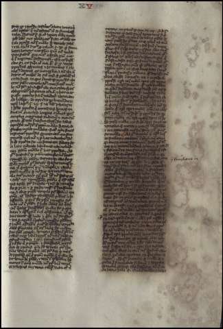 453
