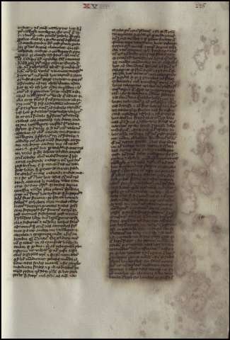 455