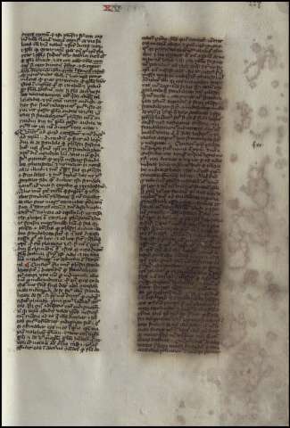 459