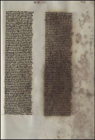 461