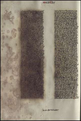 464