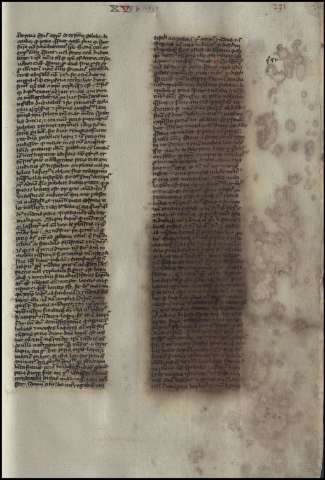 465