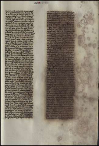 469