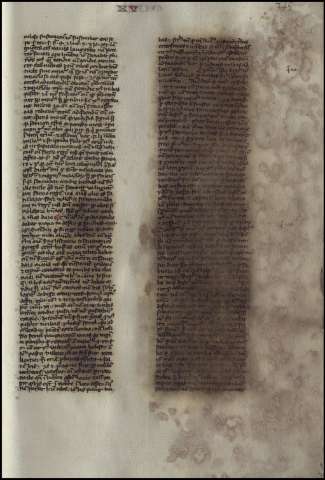 493